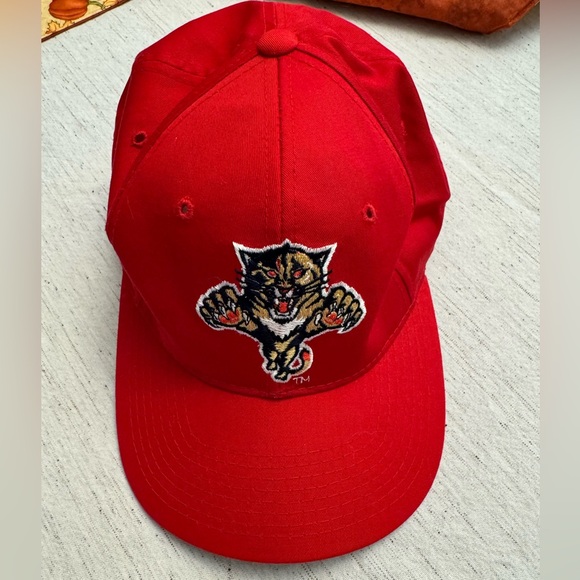 Florida Panthers Baseball Hat - Picture 1 of 3